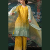 Pure Georgette Organza suits