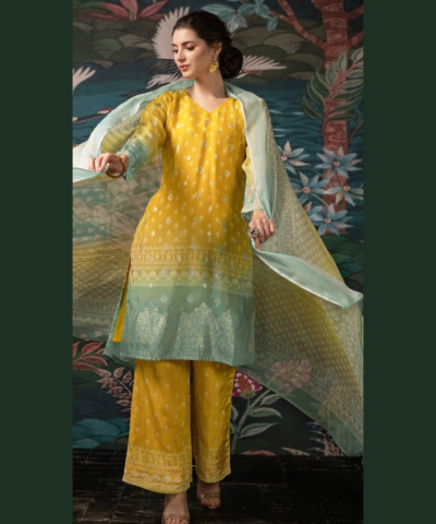 Pure Georgette Organza suits